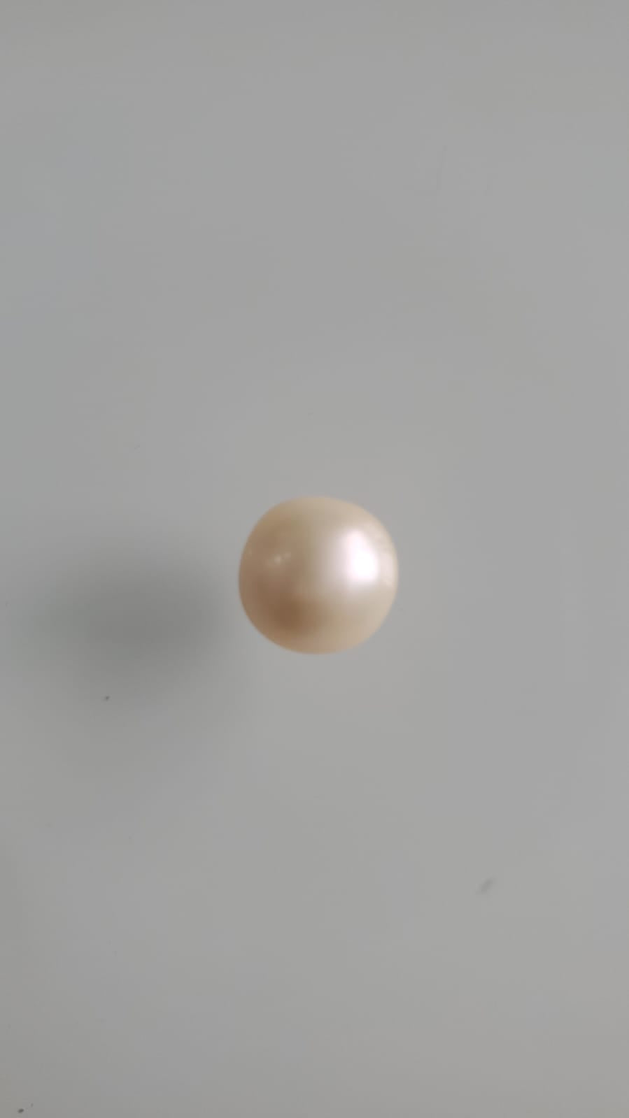 4.84|Natural Pearl